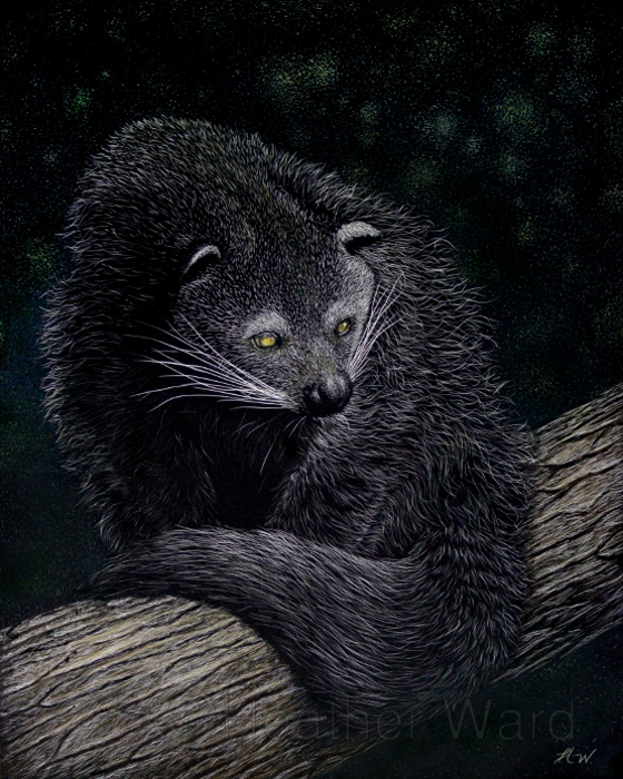 Binturong